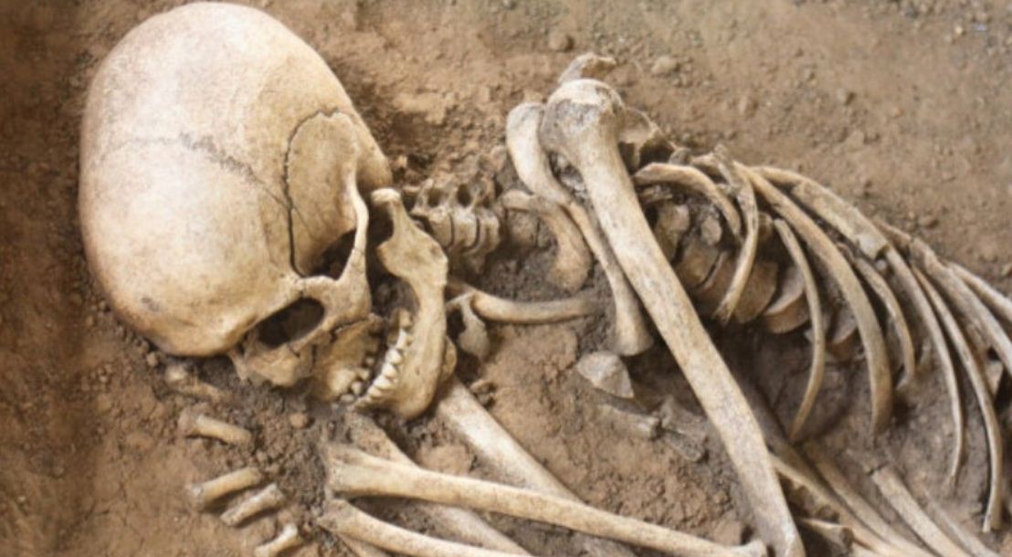 कङ्काल भेटियो